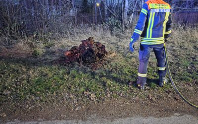 F0: brennt Baumstumpf