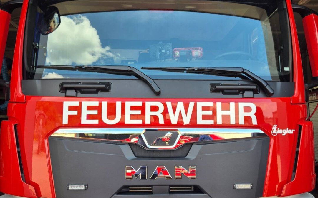 F1: Heimwarnmelder