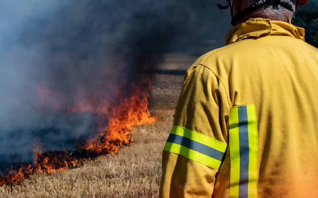 Vegetationsbrandausbildung der Gemeindefeuerwehr Aerzen